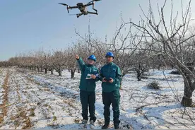 国网阳信县供电公司：踏雪巡线保供电图片