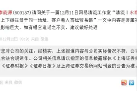 V观财报｜永泰能源回应“贸易空转”质疑：与实情不符图片