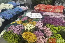 菊花消费需求大增，清明时令菜上架！江城商家借节日顺势营销图片
