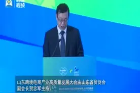 2024山东跨境电商产业高质量发展大会暨山东自贸试验区跨境电商人才双选会成功举办图片