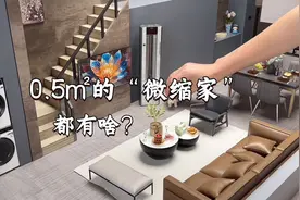 纯手搓全网最小家？找三翼鸟一站定制还原大house图片