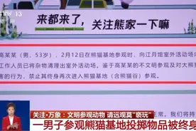 又有游客被终身禁入！随意投喂可能承担刑事责任图片