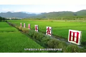 自然资源部永久基本农田查询平台正式上线，面向全社会开放图片