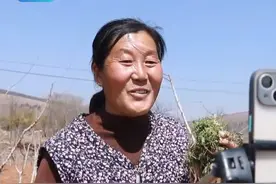 这是婶吗？这不是婶，这是田间地头的农民诗人图片