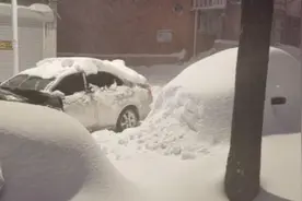 “积雪最厚六七十厘米”！鹤岗下特大暴雪了图片