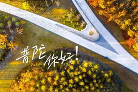普陀 你好 | 春光无限好，植树正当时图片