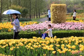 湖北孝感：2024赏花活动启幕图片