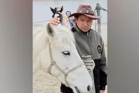 对话丨“白龙”马驮主跳江救人后离世，主人彻夜未眠：初见时瘦骨嶙峋但我一眼相中视频封面