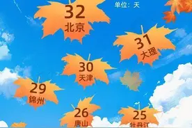 山东三市上榜2024城市天气“最”榜单，因为……图片