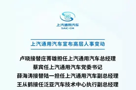 卢晓、薛海涛优势互补，上汽通用能否止跌回升？图片