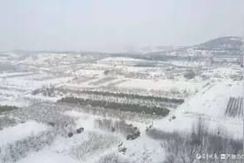 乘高铁来荣成，窗外一片白茫茫图片