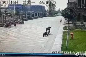 警方回应狗主人是否被找到图片