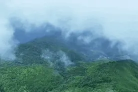 擅闯哀牢山？比毒蛇、猛兽更可怕的是……图片