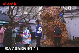 收集网友寄来的落叶做成卡通大猫，南通小伙创作特别新年礼物图片