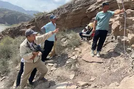 甘肃临夏新发现一组白垩纪时期微小型恐龙足迹化石图片
