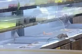 惊现老鼠，全部下架！知名麻辣烫被曝光图片
