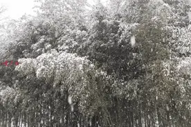 湖北这些地方下雪了！图片