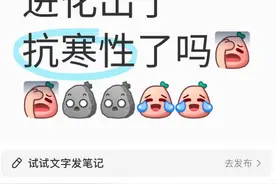 冬天了怎么还有这么多蚊子？做好这些避免蚊子骚扰图片