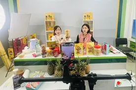 多措并举助力徐闻菠萝走向全国图片