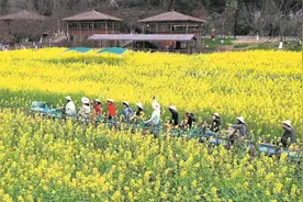 成都春季文旅地图活动线路全攻略上新图片