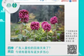 广东人最怕的回南天来了？今明有雾驾车返乡多当心丨温度记图片