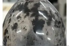 “臭水”成“香饽饽”？正确引导孩子的好奇心是关键图片