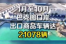 21078辆！巴克图口岸今年前10个月成绩亮眼图片