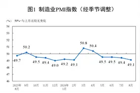 国家统计局：中国8月制造业PMI为49.1%图片