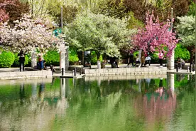 石家庄市城区水系赏花地图，来了！图片