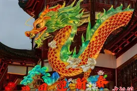 （新春走基层）沪上民众“寻龙”迎新春图片