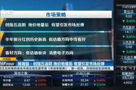 杨首骏：创指五连阴 地价地量后 有望引发市场反弹｜微策略视频封面