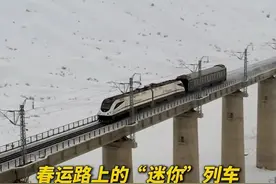 火车头怎么只拉一节车厢？网友：“小可爱”，很可爱！图片