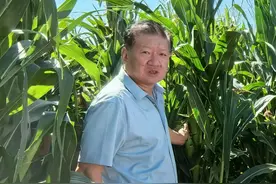 从“浇地”变“浇作物” 金昌农场“拧紧”水龙头 念好“节水经”图片