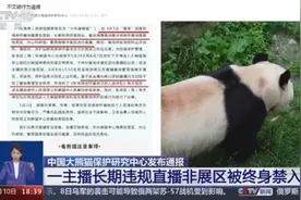 偷拍“顶流”福宝，朱某某被终身禁入！喜爱大熊猫，也要用对方法图片
