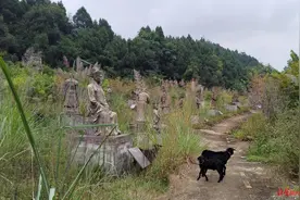 红星深度｜“山寨兵马俑”网红景区荒废背后：开业两年半闭园 老板去世，家人称他心太大图片
