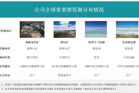 天齐锂业去年净利下滑七成，最大业务板块变了|年报解析之锂电产业链图片