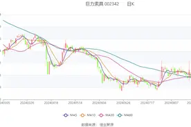 巨力索具：2024年上半年净利润394.2万元 同比下降44.98%图片