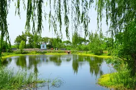 平顶山新华区：以实干见嬗变 和美乡村展新颜图片