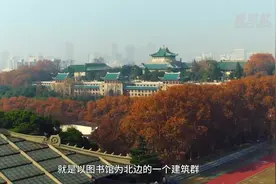 珞珈山上的传奇图片