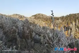 反转！福建即将大升温！福州最高温或涨超15℃！图片