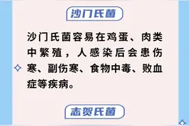 “万能”冰箱放放放？这3类食物千万别长期放冰箱图片