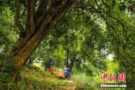 人这一辈子，一定要去一趟咸宁！图片