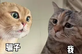 不认识的FaceTime电话千万别接图片