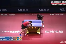 樊振东赛后首度回应：已经毫无保留，希望得到大家的祝福图片