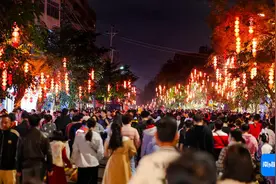 舞龙舞狮闹新春 2025府城换花艺术周活动精彩纷呈图片