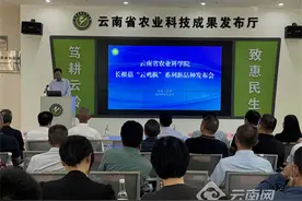 云南省农科院高原特色菌品种选育取得新突破 全产业链美味“云鸡枞”走向广阔市场图片