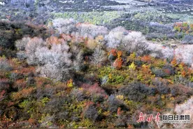 崇信筑牢冬季森林草原防火安全屏障图片