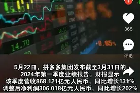 “抢班夺权”的拼多多，让阿里京东重新审视自己|商战2024③图片