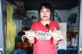 大闸蟹价格大跳水！宁波人爱的这口美味正大量上市图片