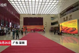 舞剧《咏春》百场演出总结会 剧组获“深圳青年五四奖章集体”荣誉图片